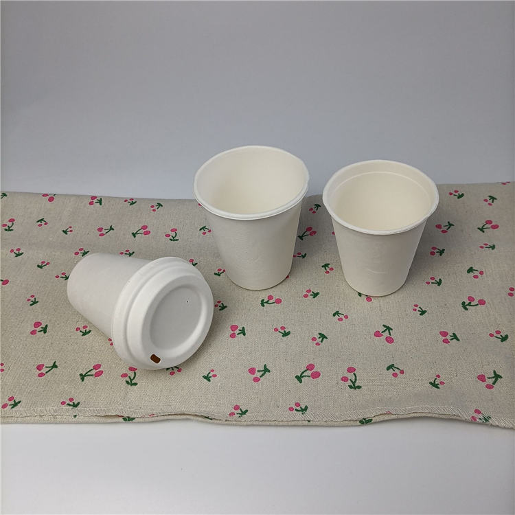 Paper 6 Oz Espresso Biodegradable Sugarcane Lids Disposable Double Coffee Cup
